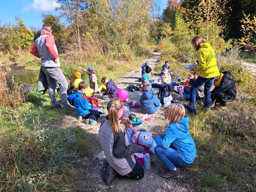 Expedition ins Biberland an der Aare
