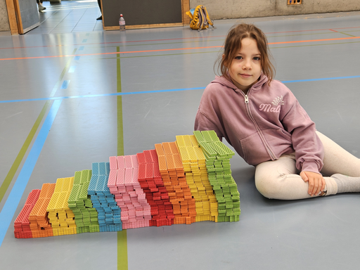 Kunstwerke bauen mit Bioblosteinen