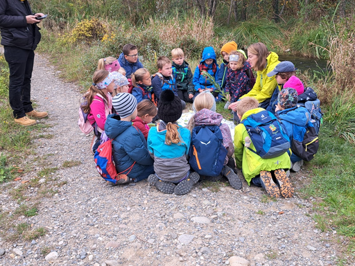 Expedition ins Biberland an der Aare