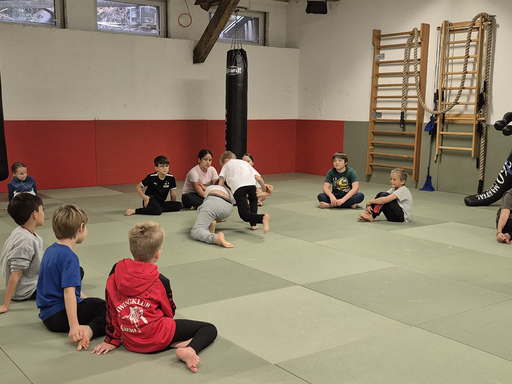 Aikido