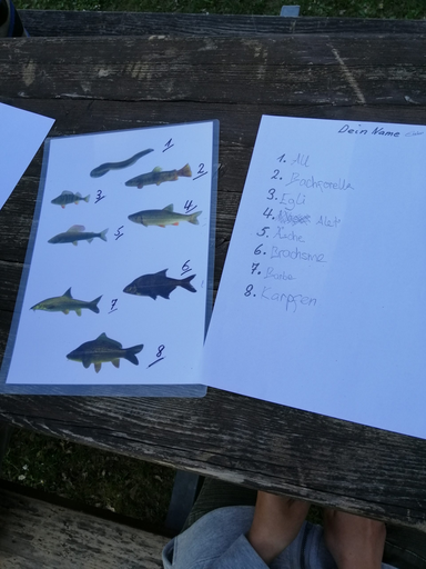 Fischen mit Profis