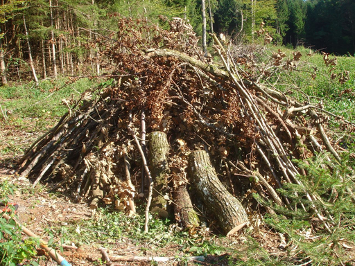 Baue eine Wieselburg