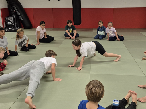 Aikido